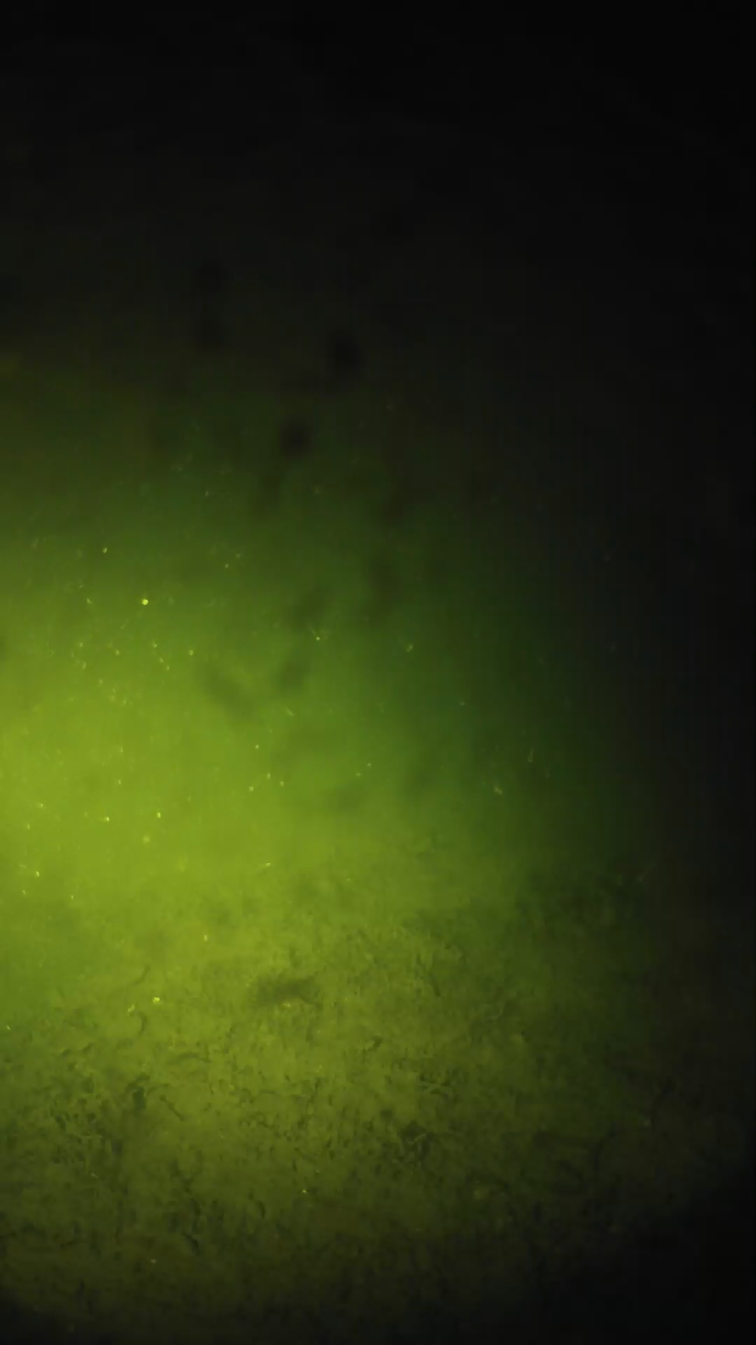 lander_ipcam_20240627223540.png