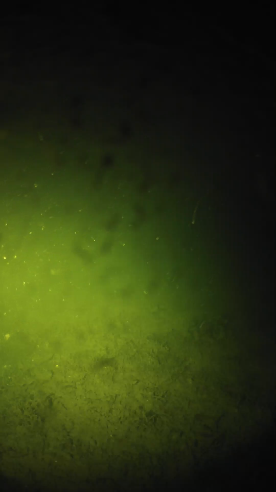 lander_ipcam_20240627223546.png