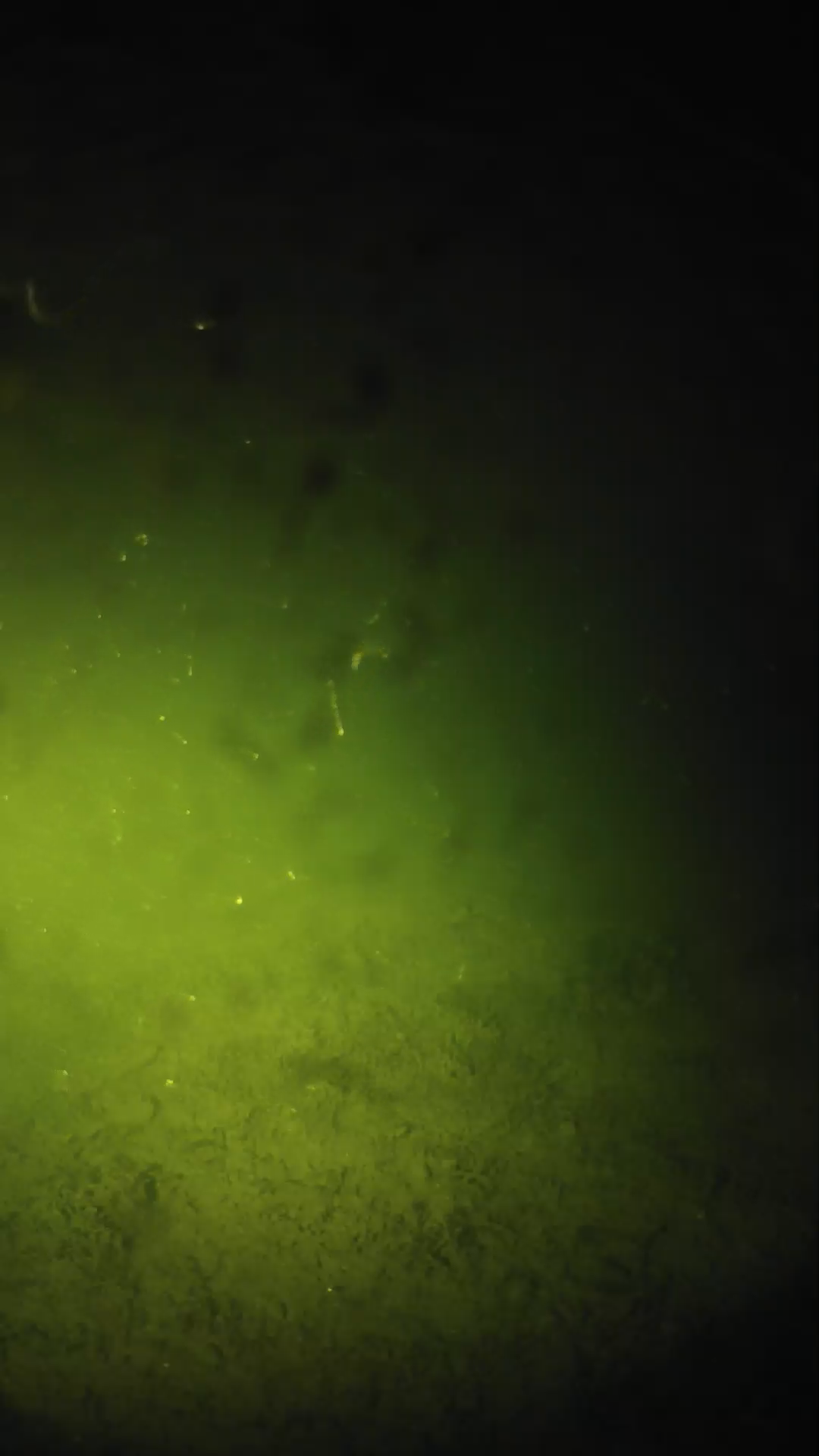 lander_ipcam_20240627223559.png
