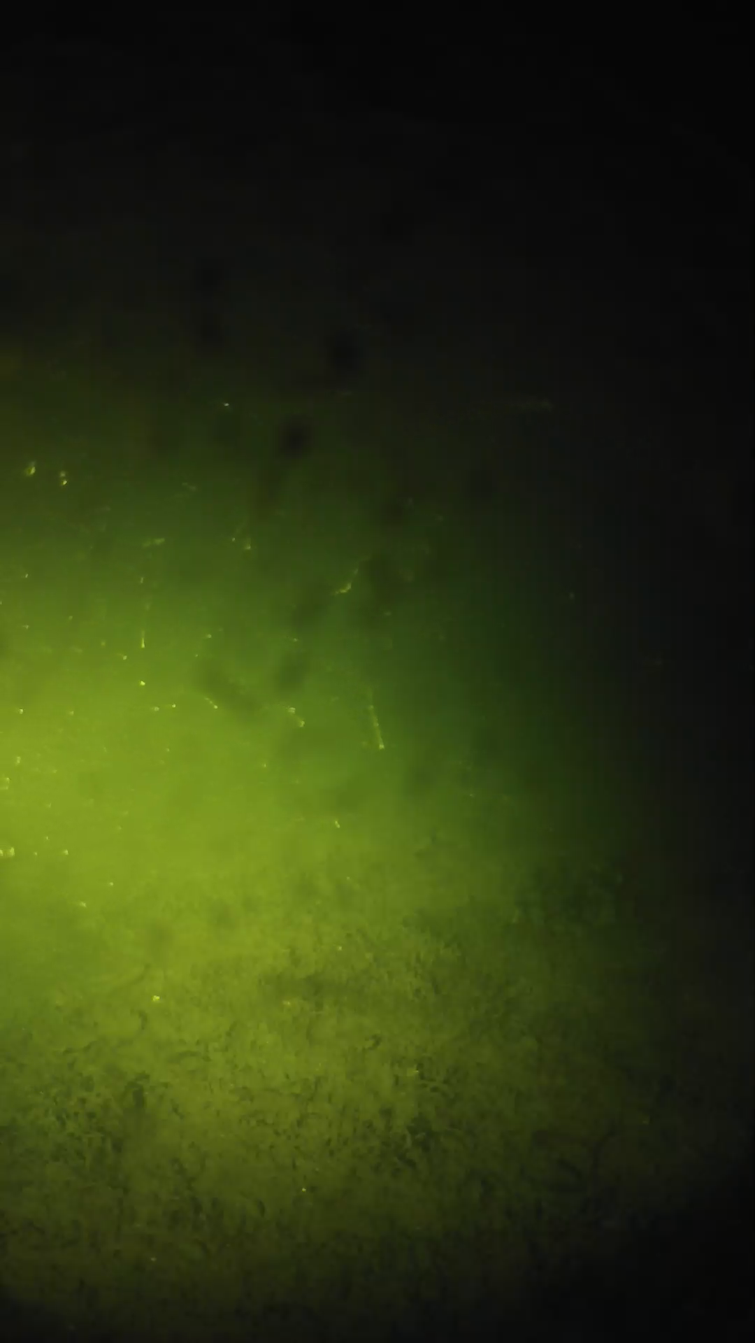 lander_ipcam_20240627223608.png