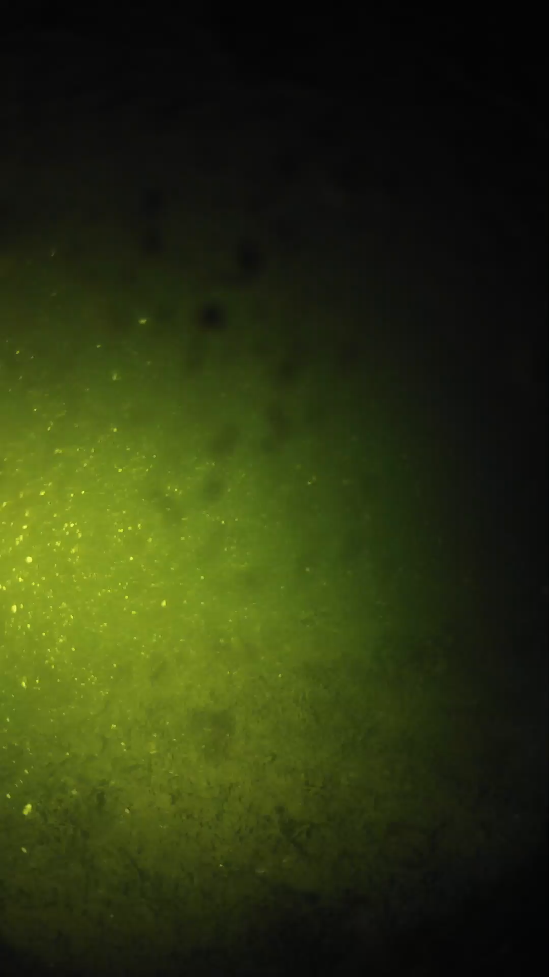 lander_ipcam_20240627230542.png