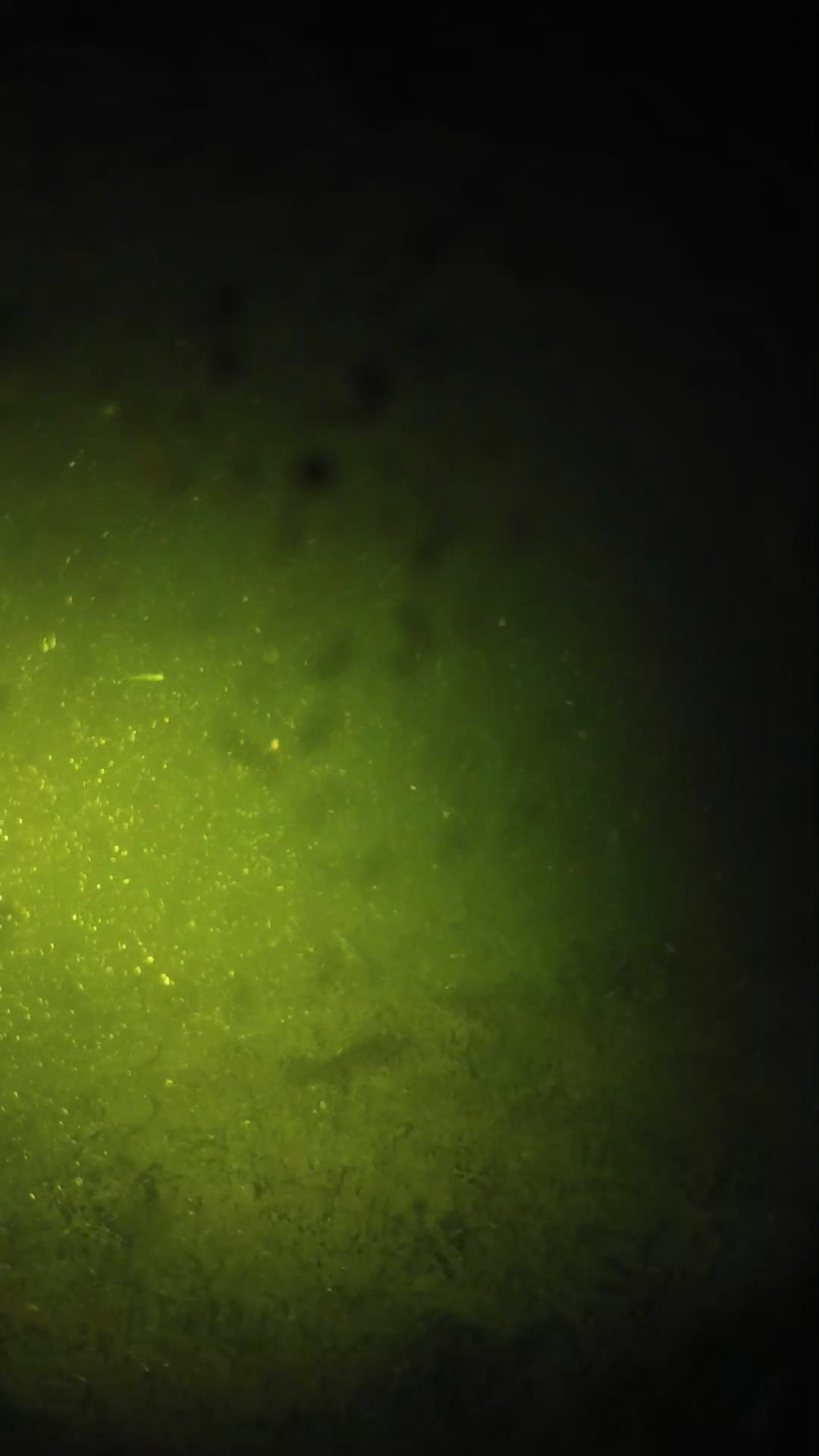 lander_ipcam_20240627230544.png