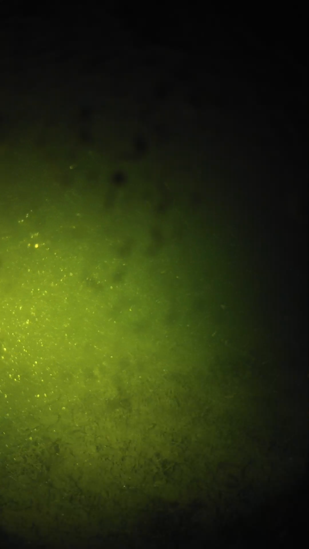 lander_ipcam_20240627230547.png