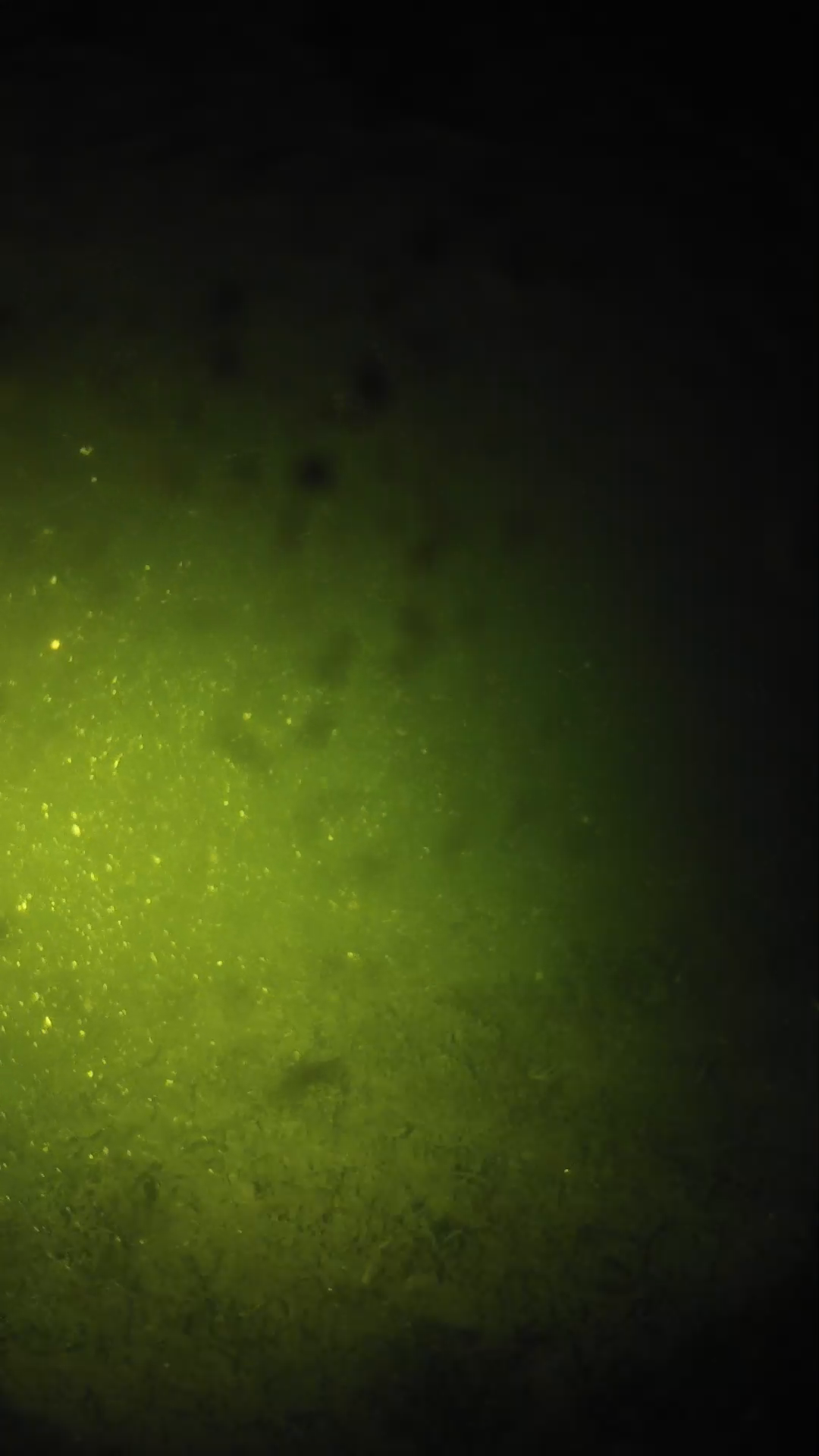 lander_ipcam_20240627230549.png