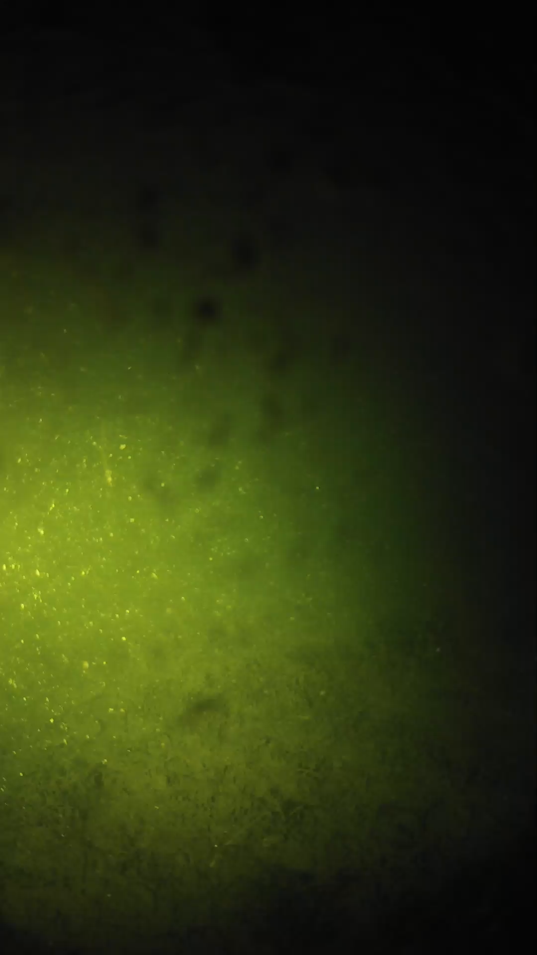 lander_ipcam_20240627230551.png