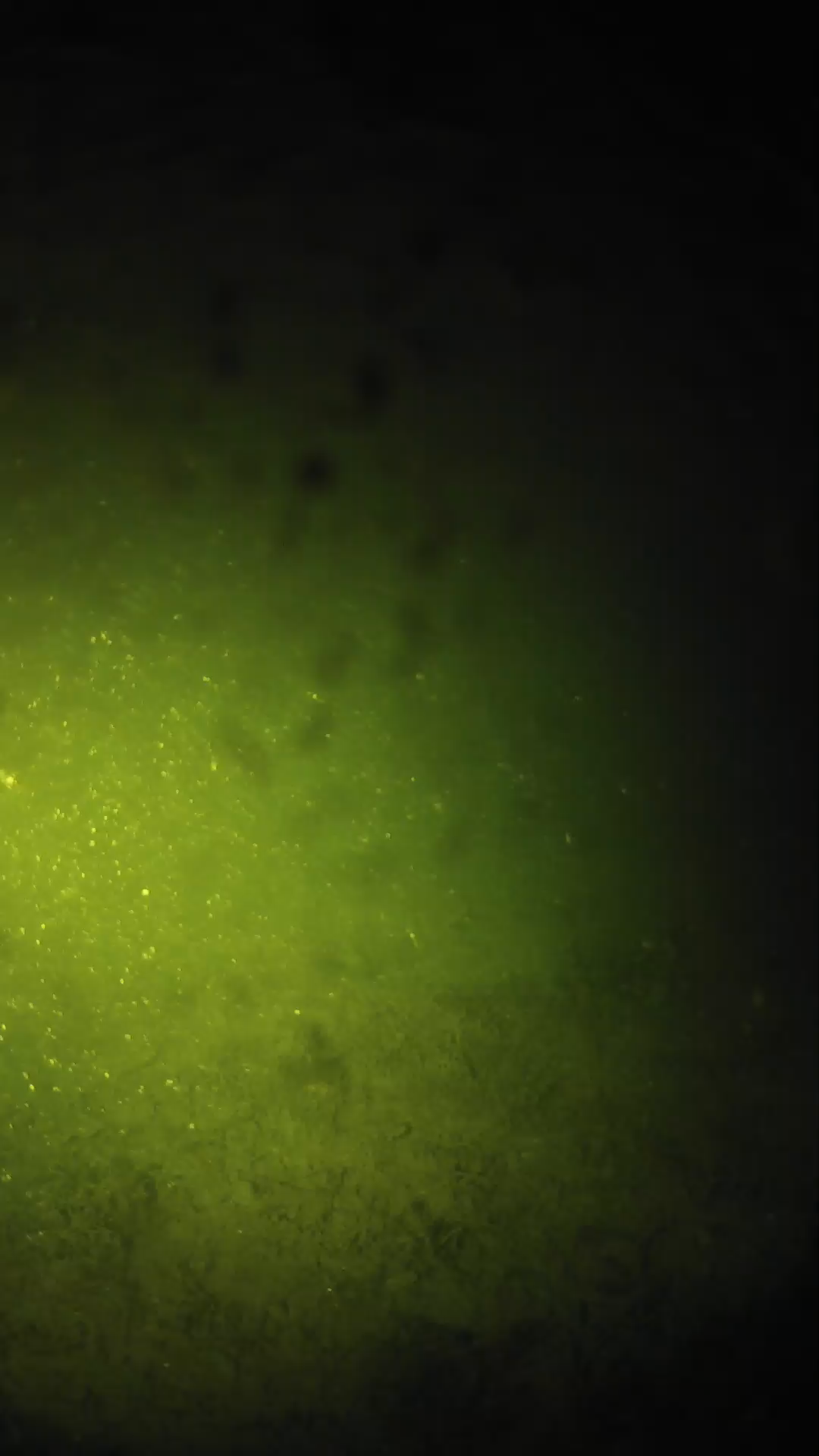 lander_ipcam_20240627230601.png