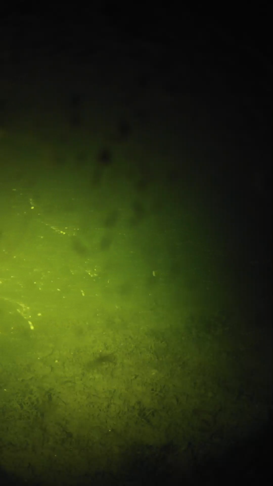 lander_ipcam_20240627233540.png