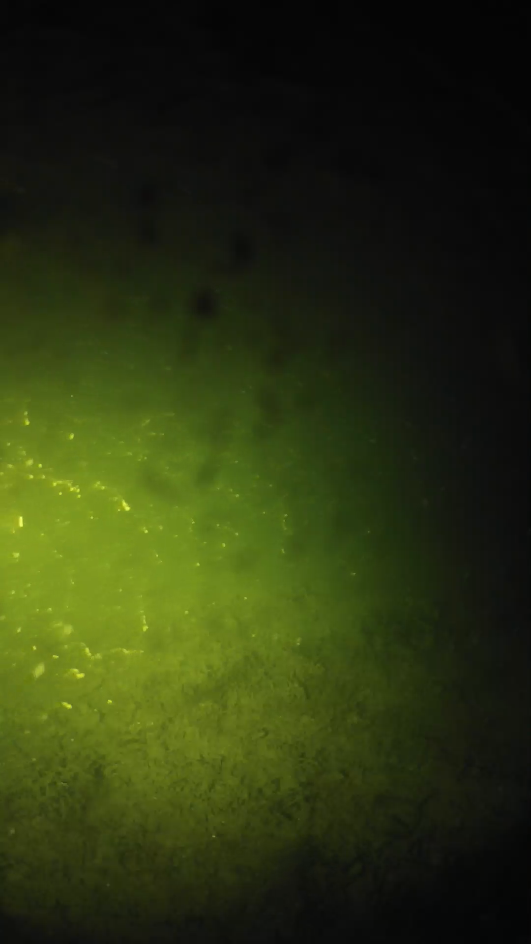 lander_ipcam_20240627233545.png
