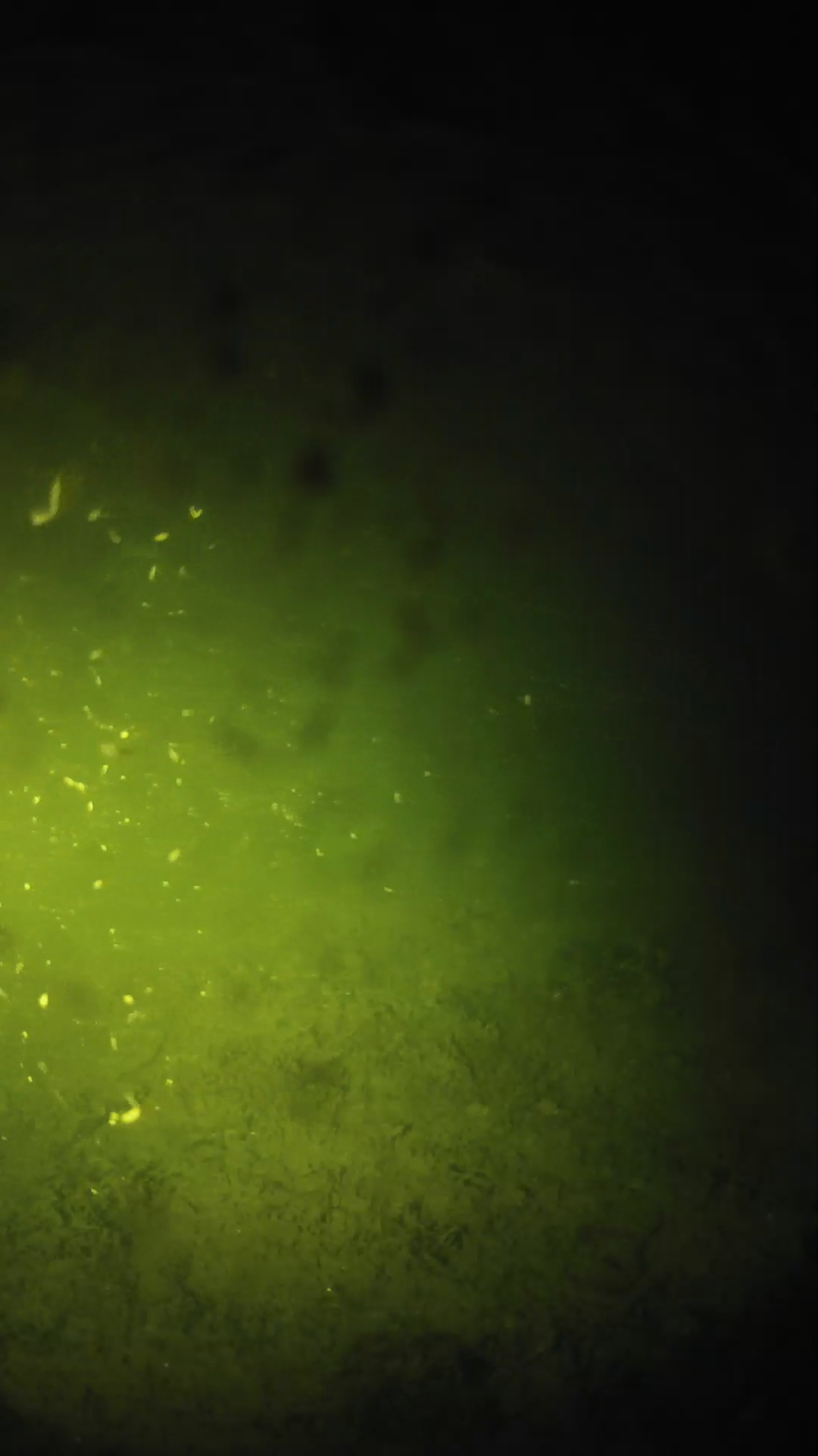 lander_ipcam_20240627233549.png