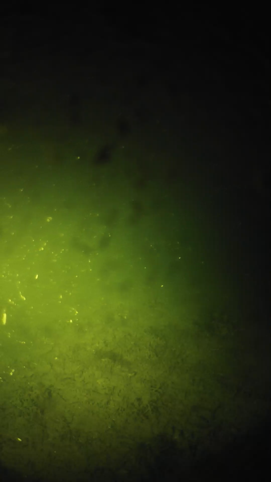 lander_ipcam_20240628000550.png