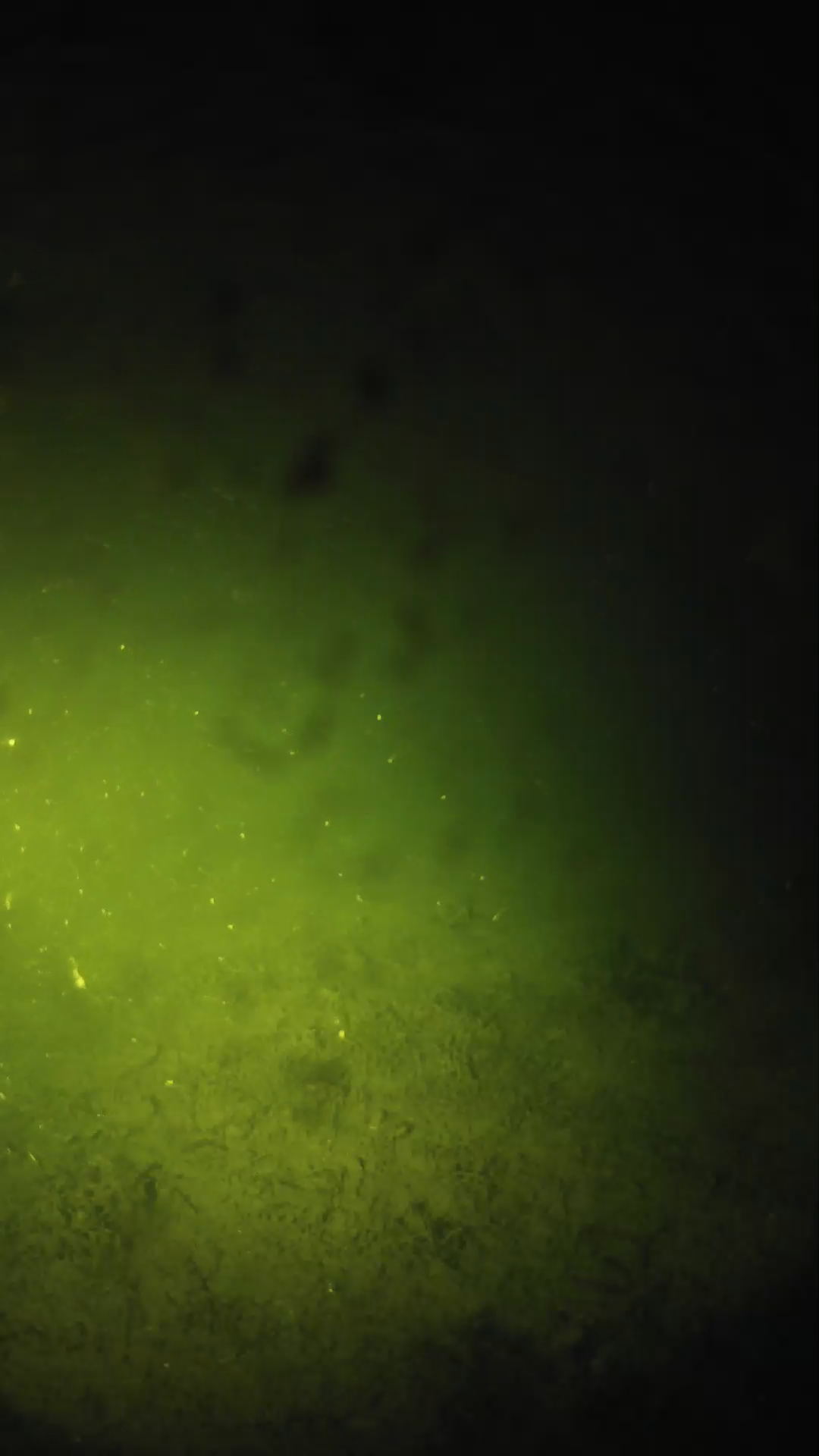 lander_ipcam_20240628003605.png