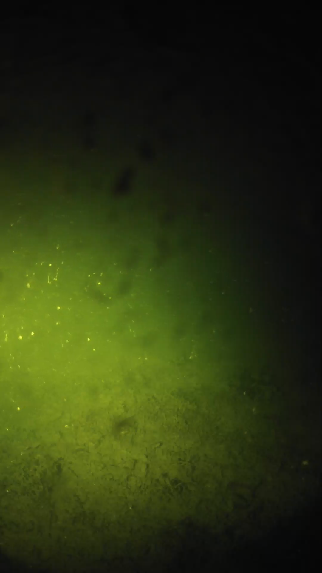 lander_ipcam_20240628010546.png