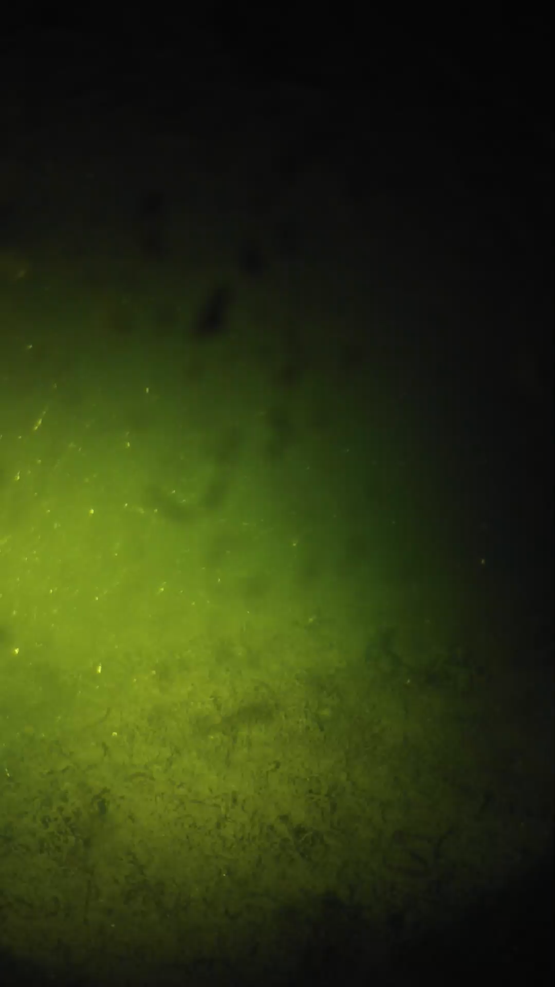lander_ipcam_20240628013550.png
