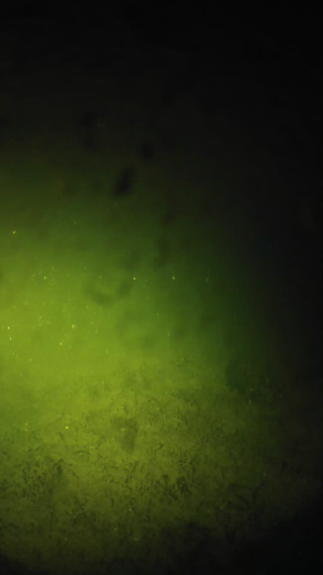 lander_ipcam_20240628020541.png