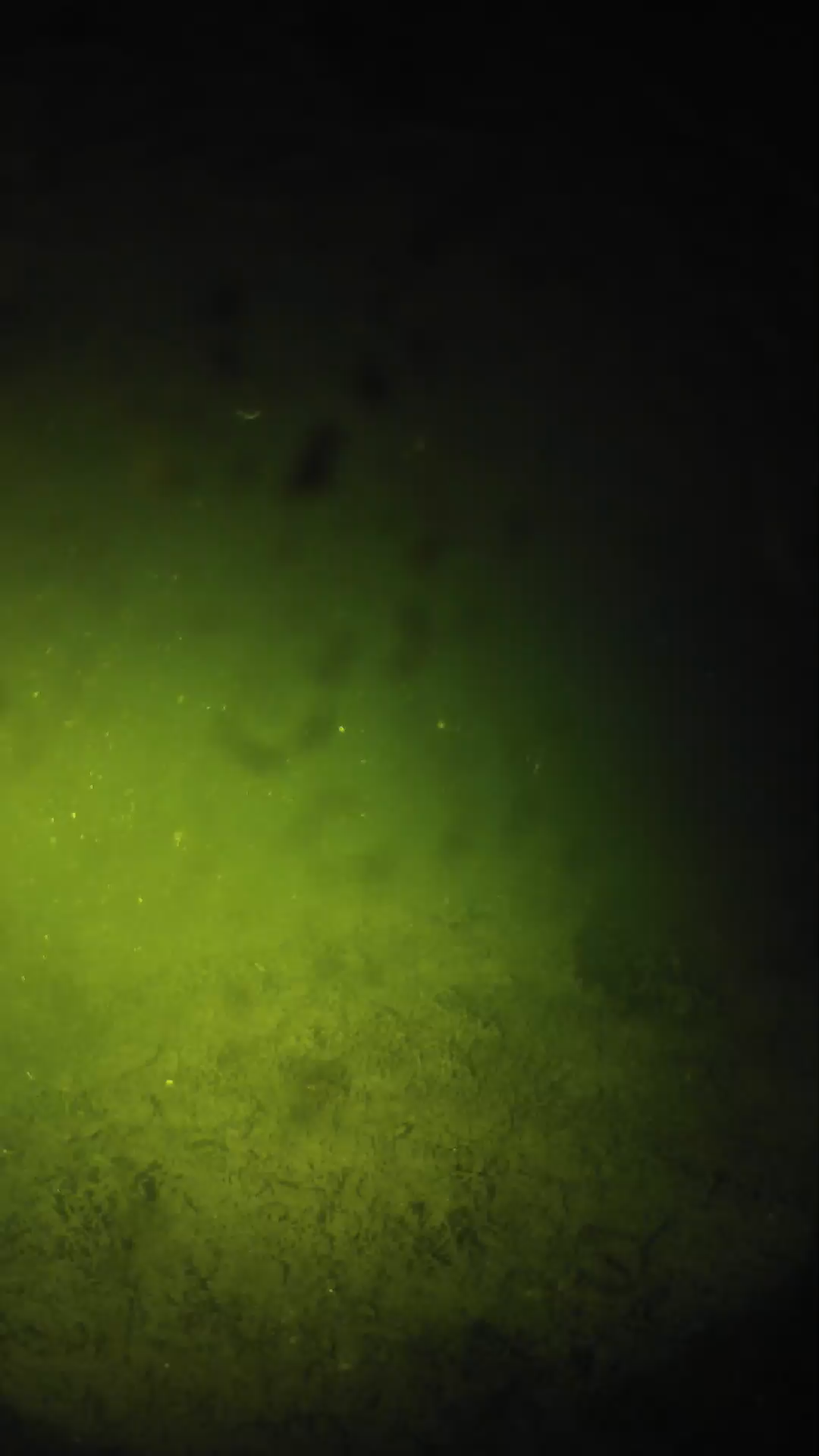 lander_ipcam_20240628020544.png