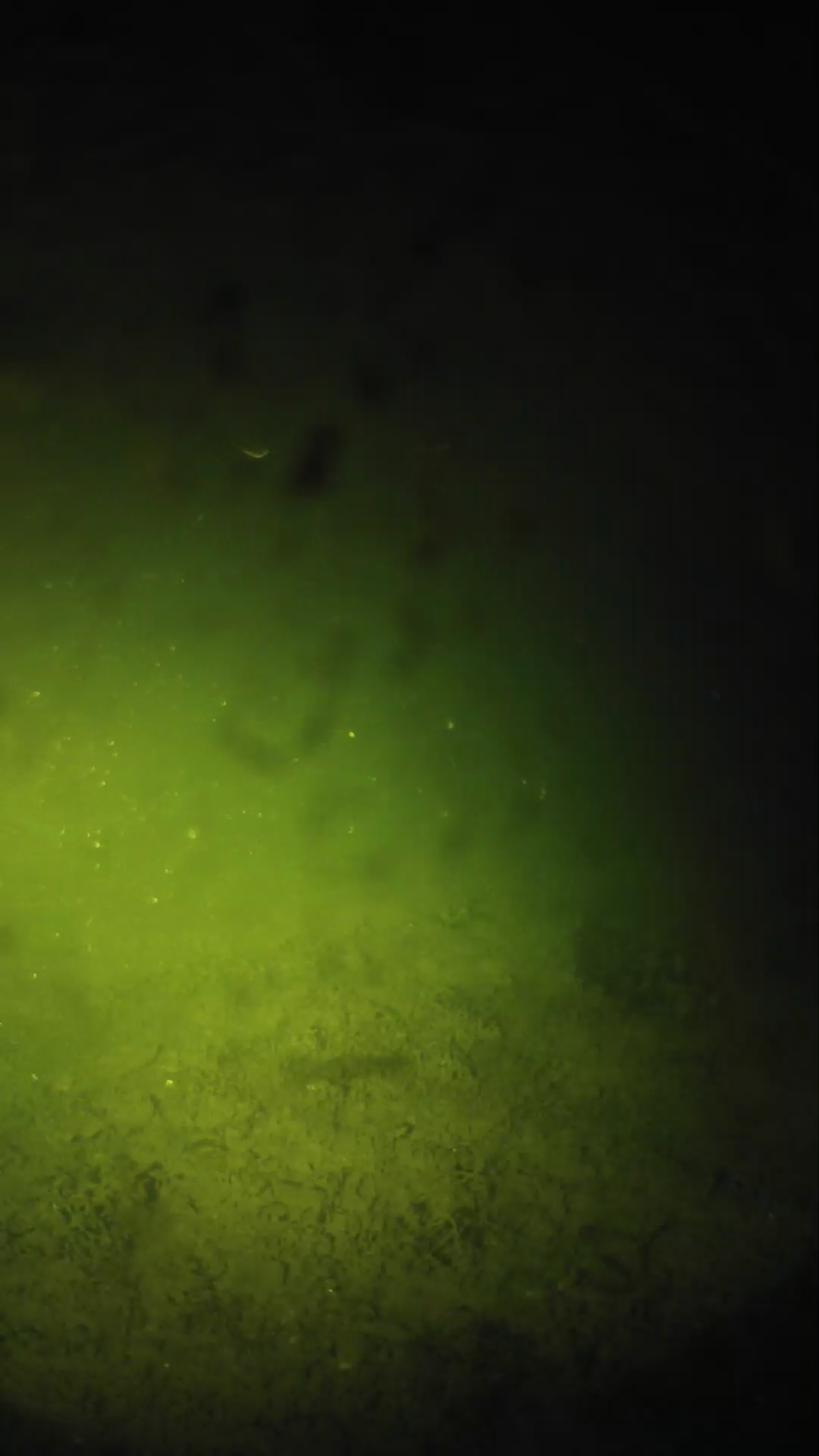 lander_ipcam_20240628020546.png