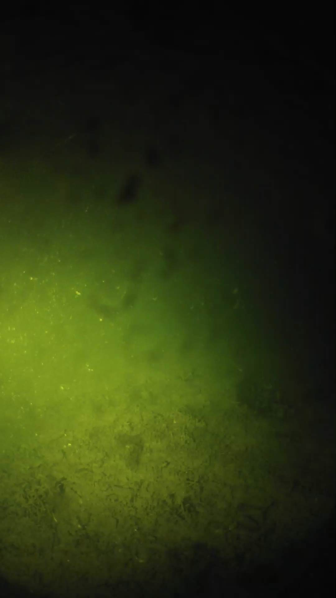 lander_ipcam_20240628020606.png
