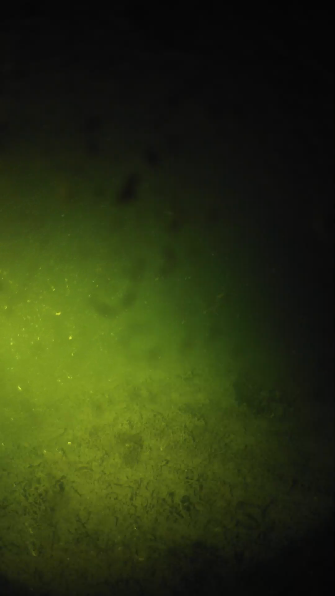 lander_ipcam_20240628020608.png