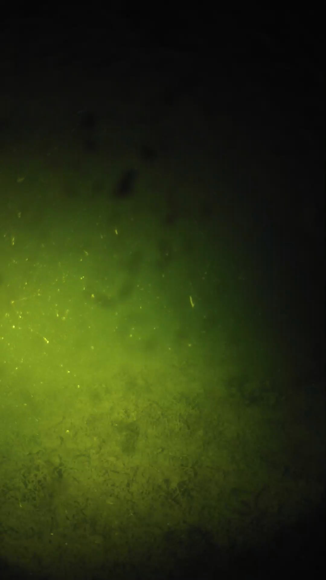 lander_ipcam_20240628030546.png
