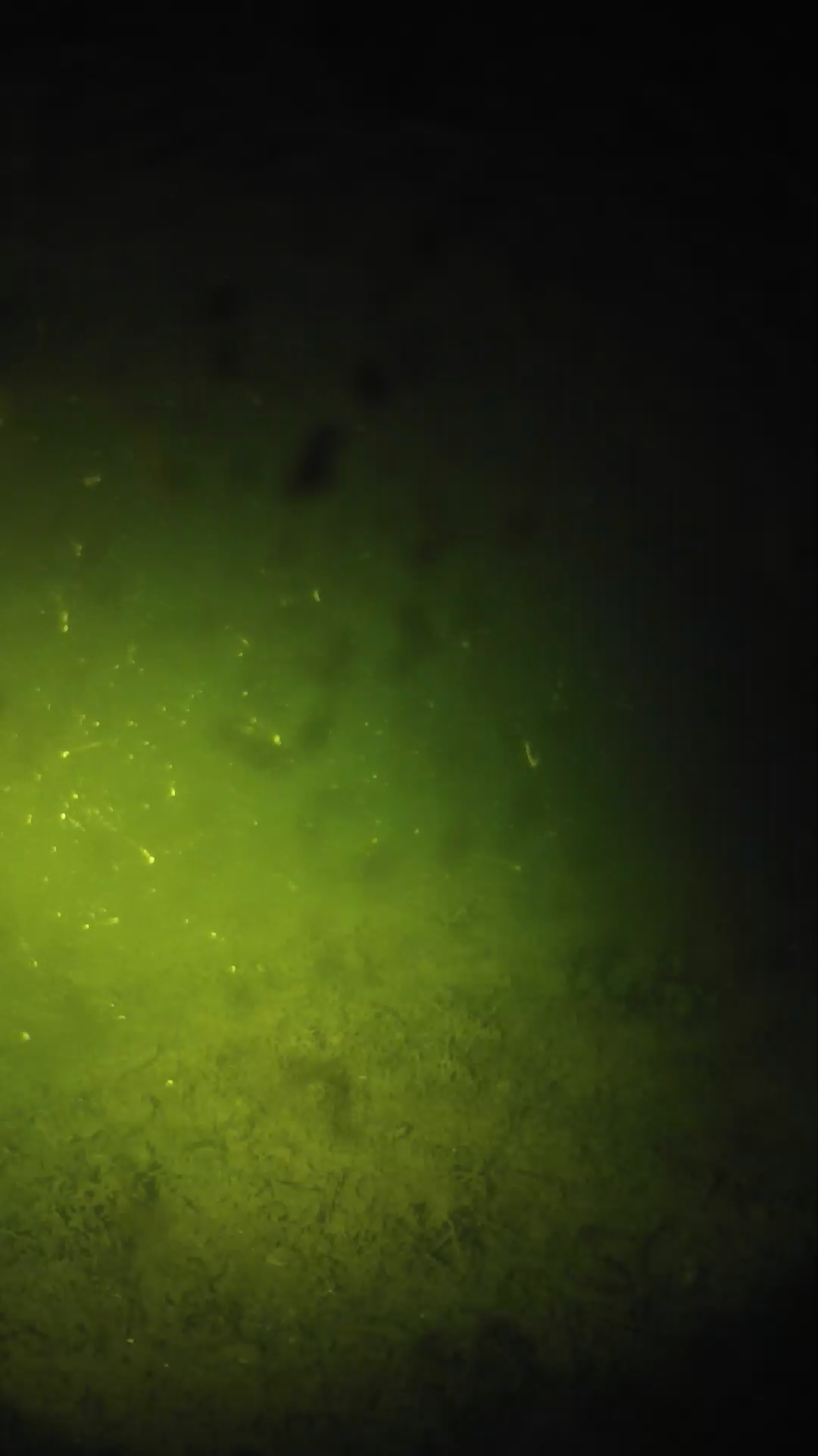 lander_ipcam_20240628030548.png