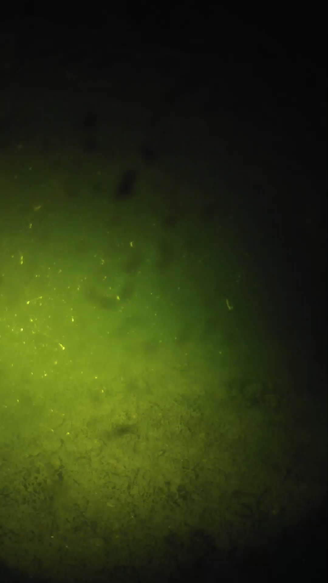 lander_ipcam_20240628030550.png