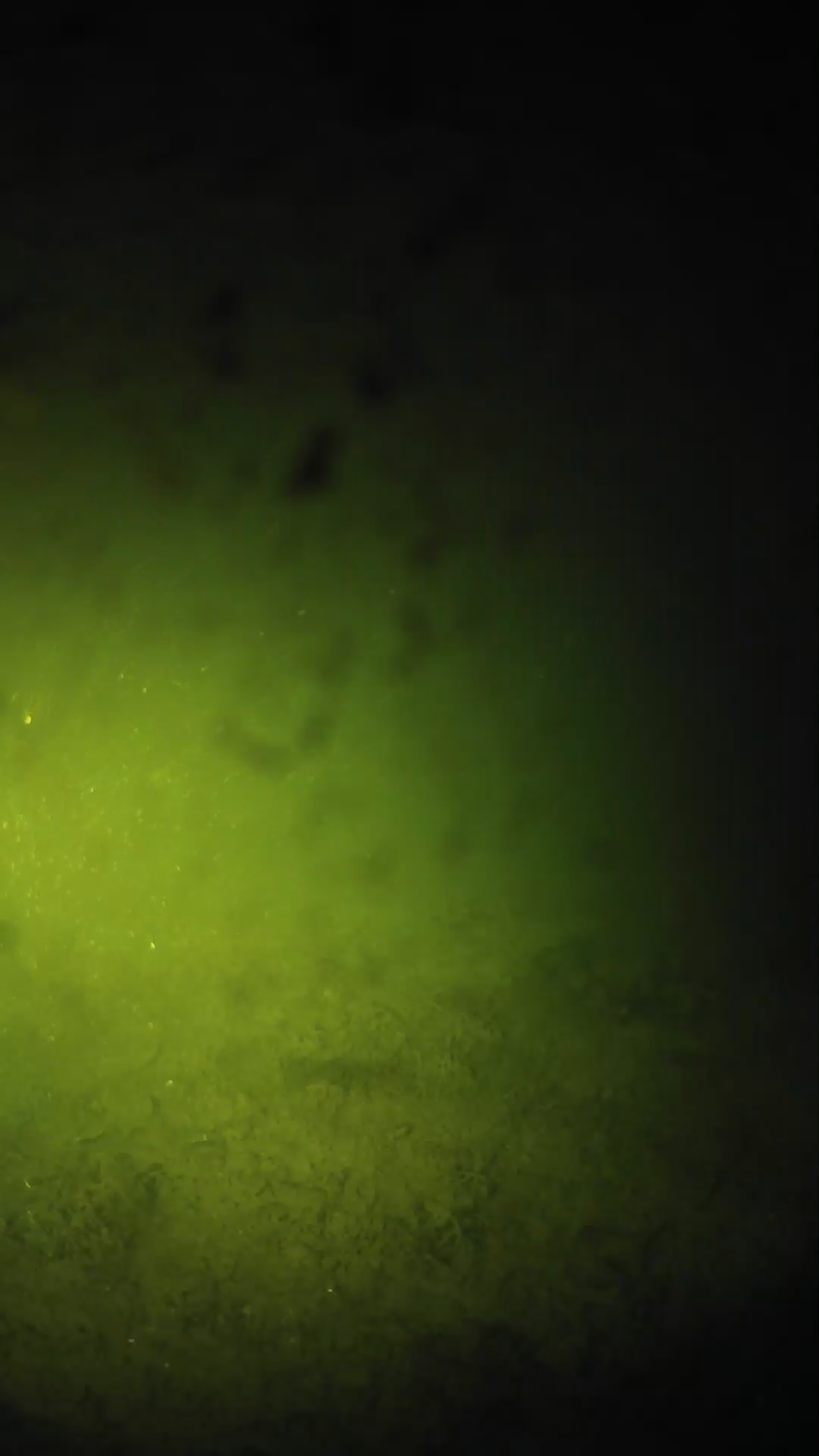 lander_ipcam_20240628043543.png