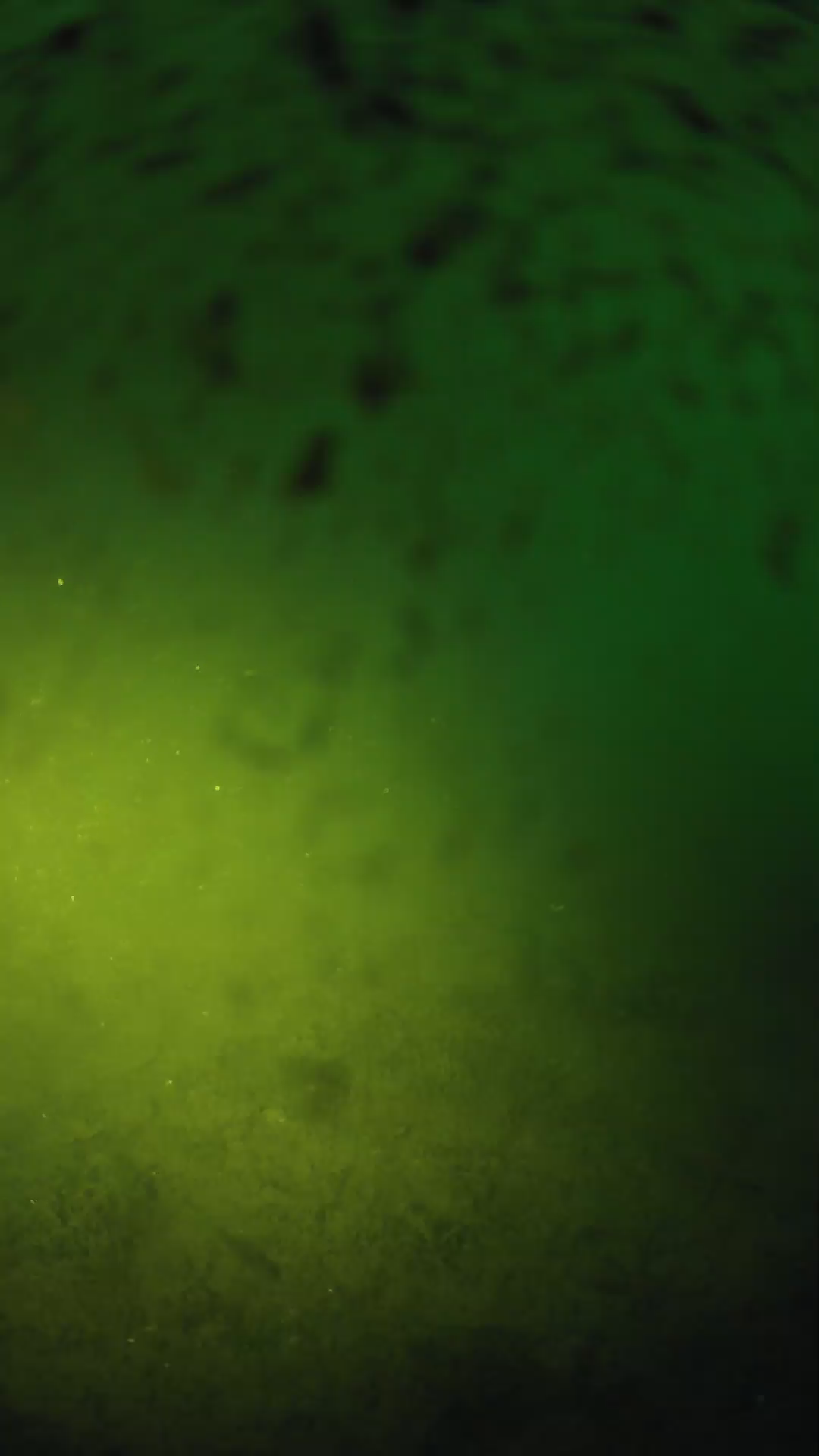 lander_ipcam_20240628050539.png