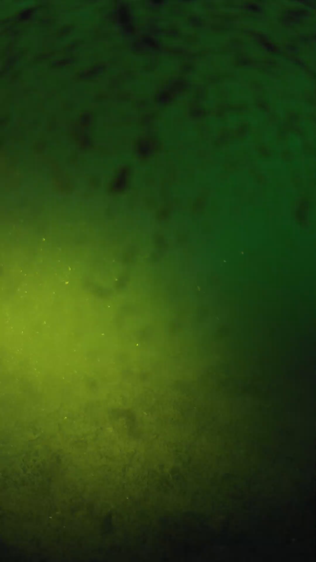 lander_ipcam_20240628050549.png