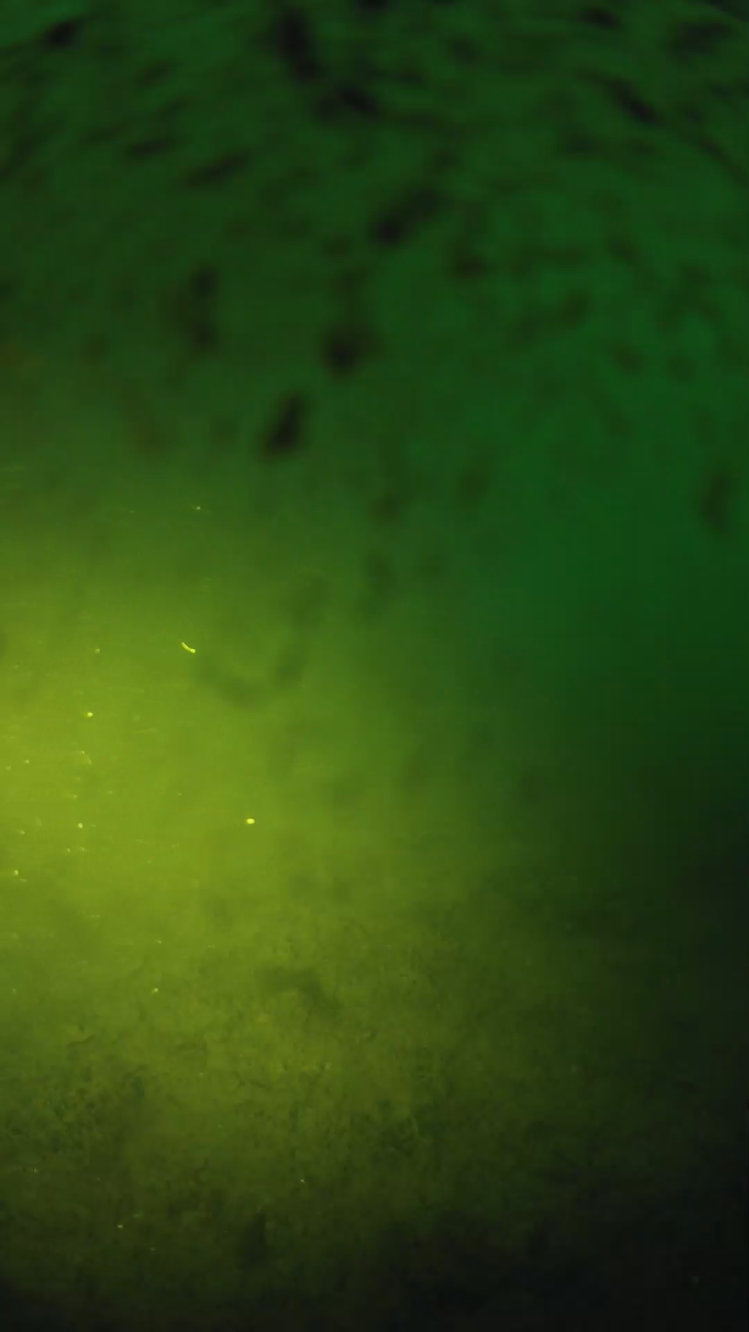 lander_ipcam_20240628050557.png