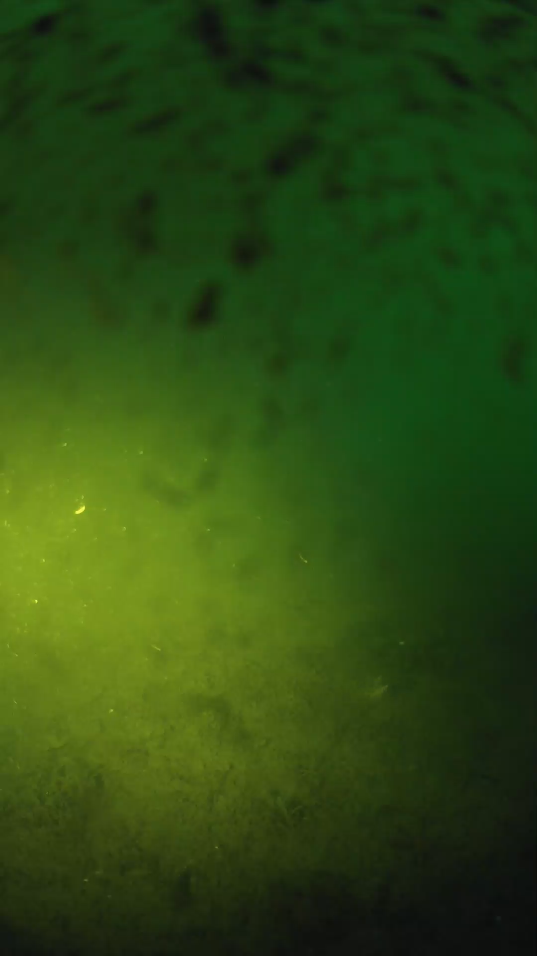 lander_ipcam_20240628050603.png
