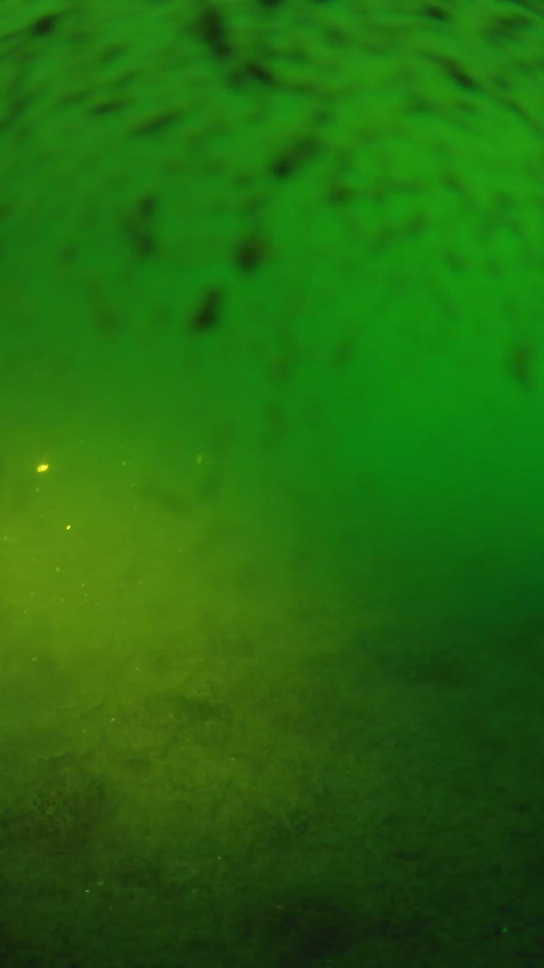 lander_ipcam_20240628053548.png