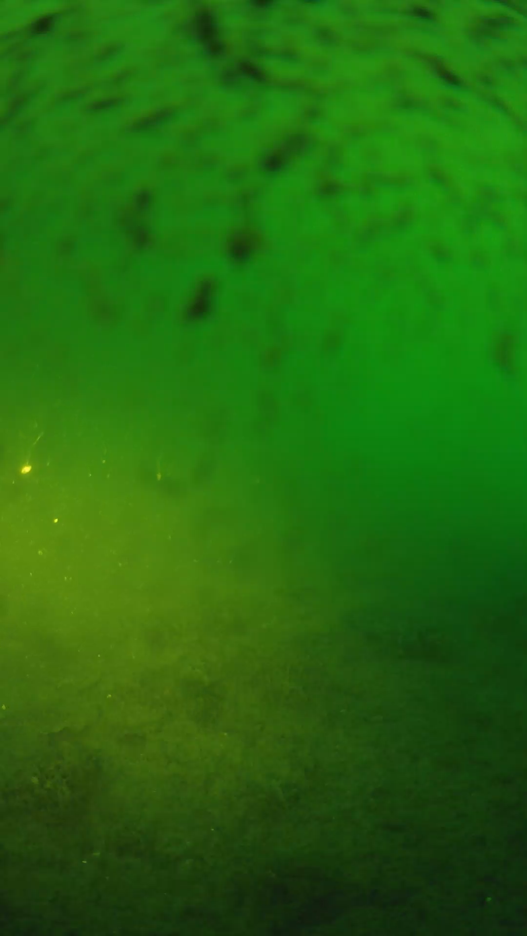 lander_ipcam_20240628053550.png
