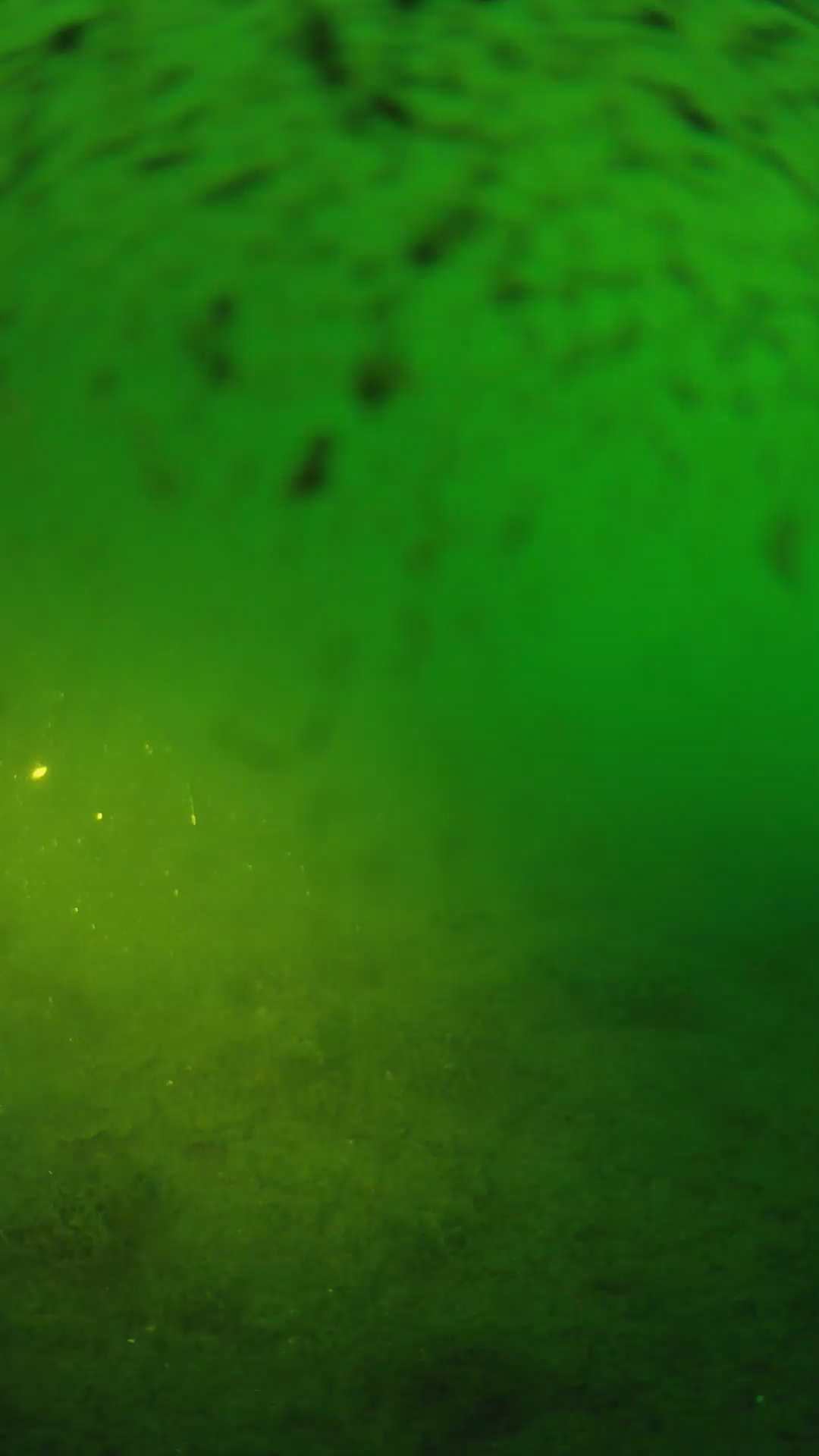 lander_ipcam_20240628053554.png