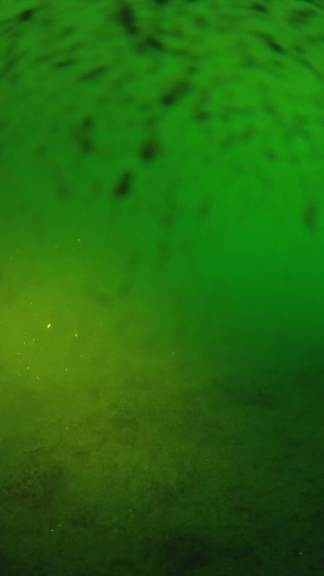 lander_ipcam_20240628053605.png