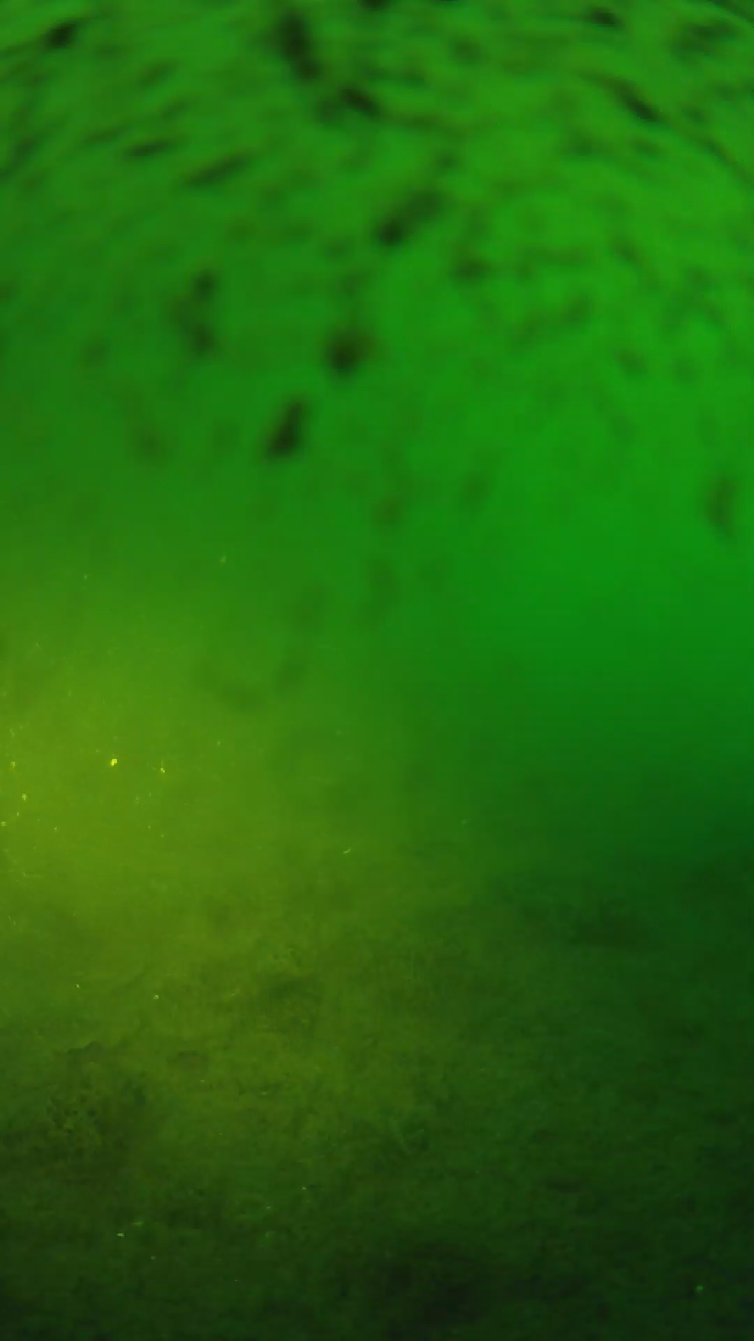lander_ipcam_20240628053608.png