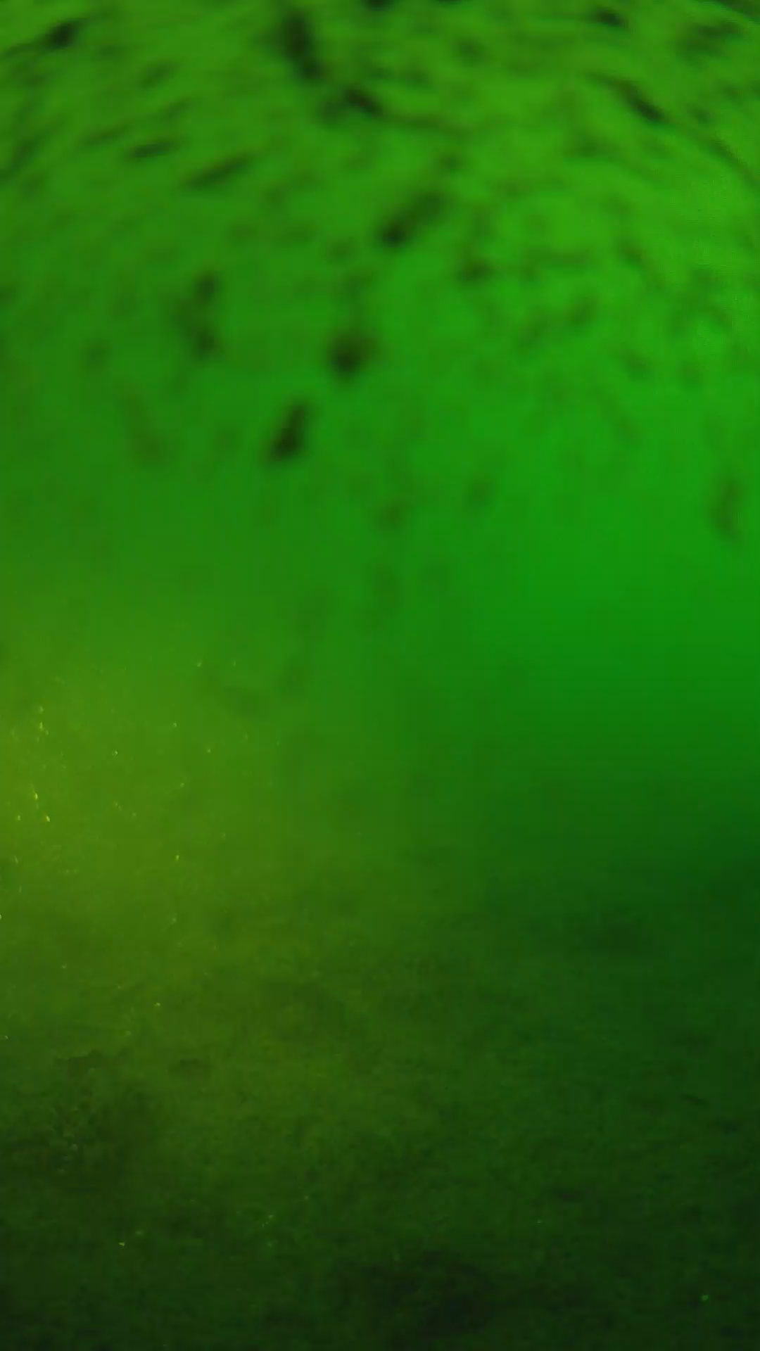 lander_ipcam_20240628060542.png