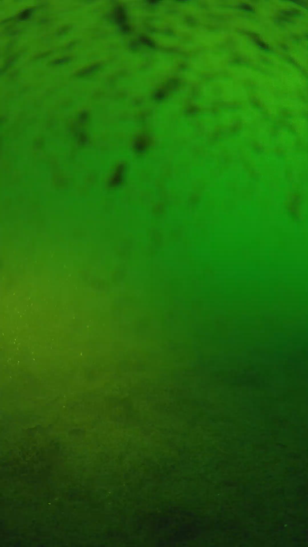 lander_ipcam_20240628060548.png