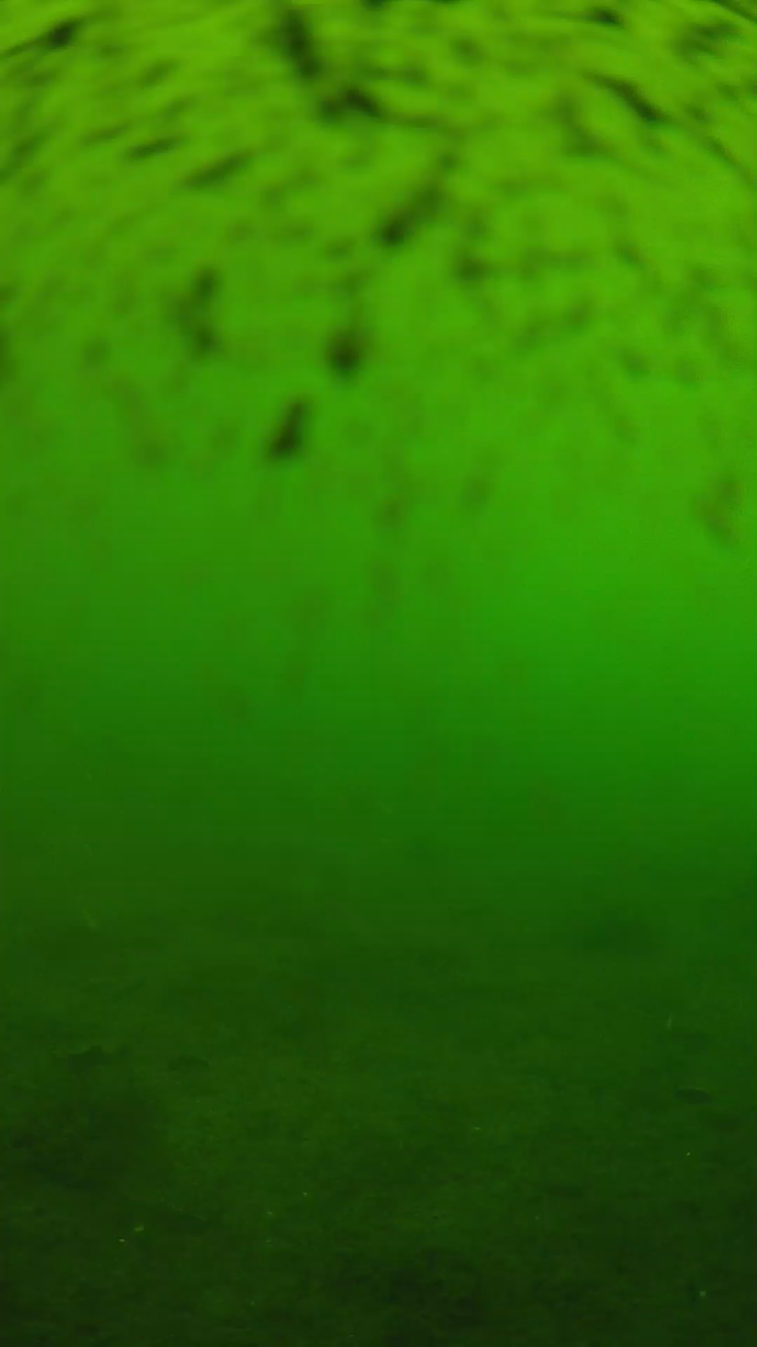 lander_ipcam_20240628103540.png