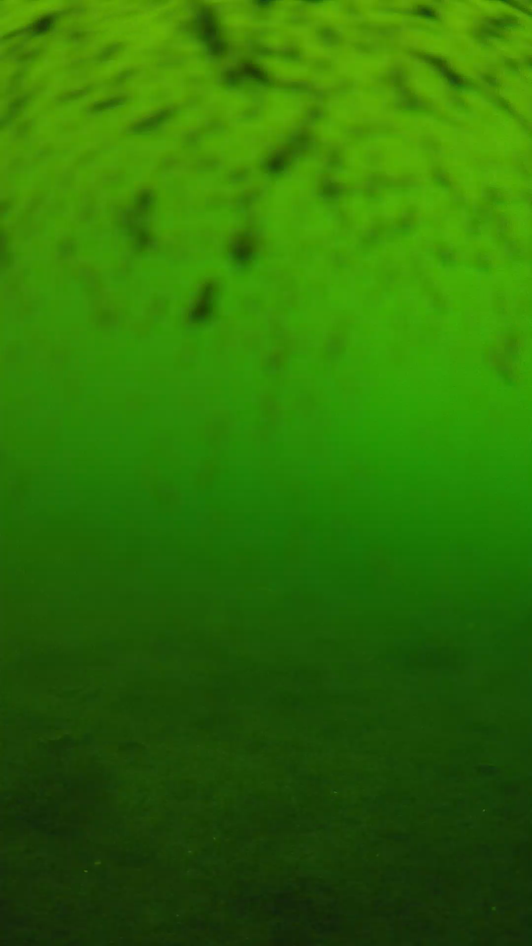 lander_ipcam_20240628103549.png