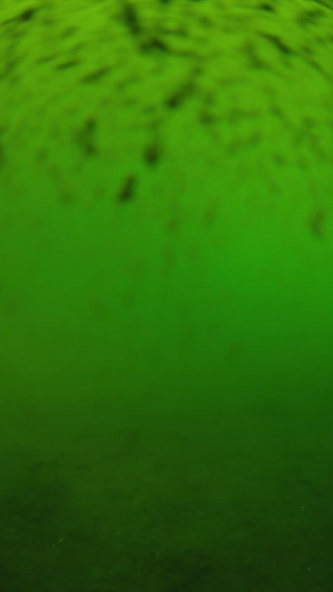 lander_ipcam_20240628110543.png