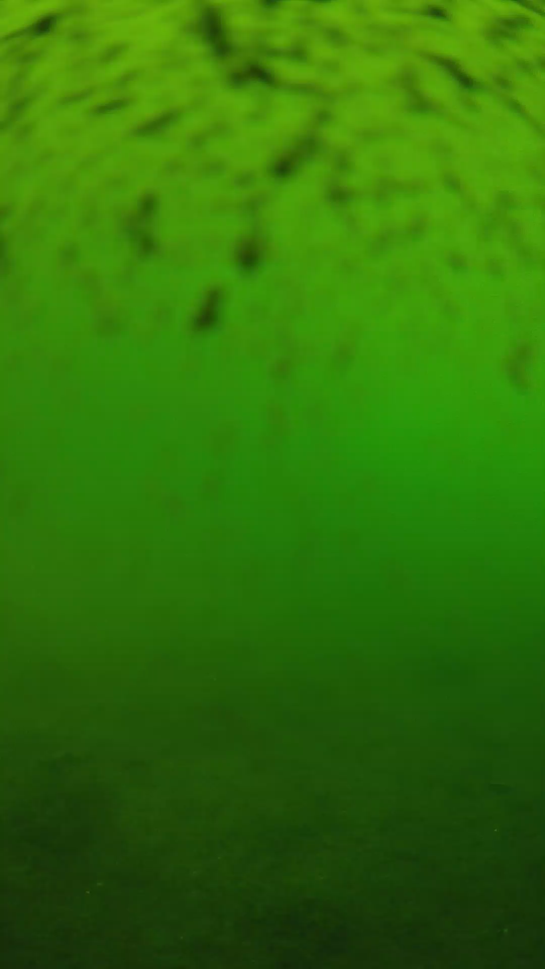 lander_ipcam_20240628110558.png