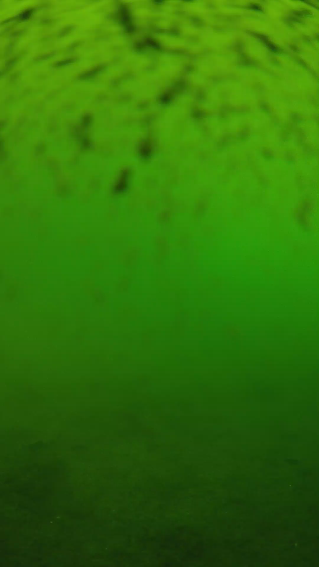 lander_ipcam_20240628110601.png