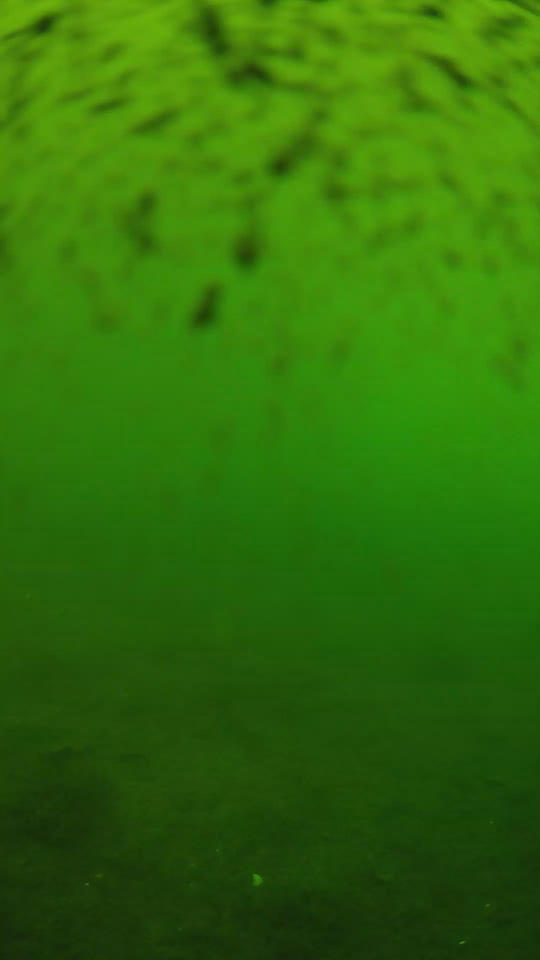lander_ipcam_20240628113548.png