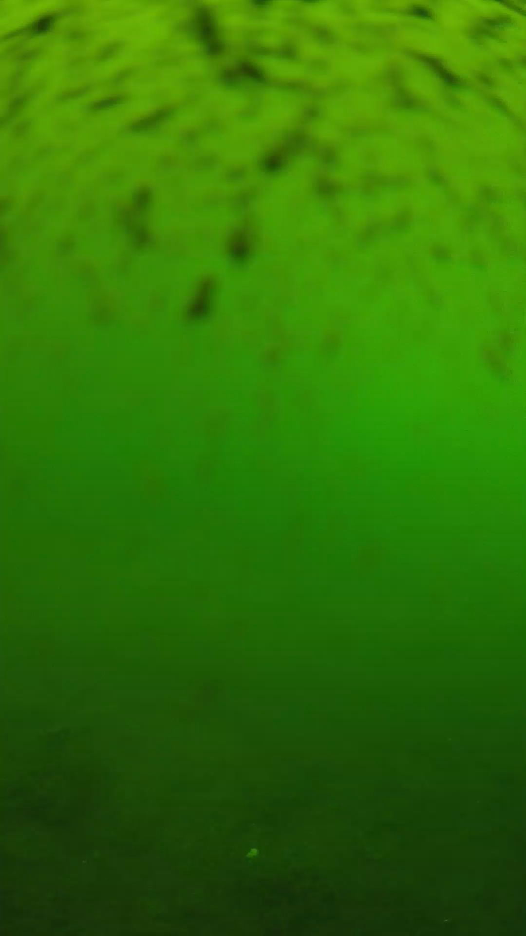 lander_ipcam_20240628120539.png