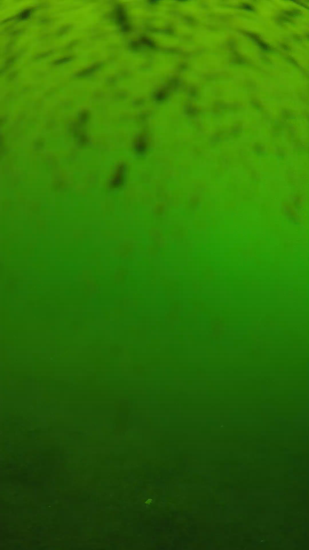 lander_ipcam_20240628120541.png