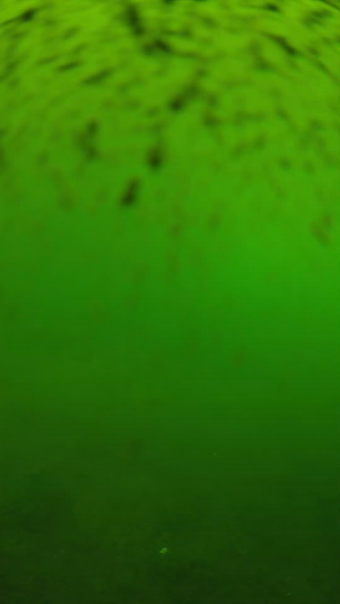 lander_ipcam_20240628120544.png