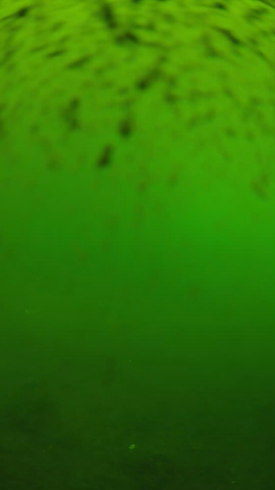 lander_ipcam_20240628120547.png