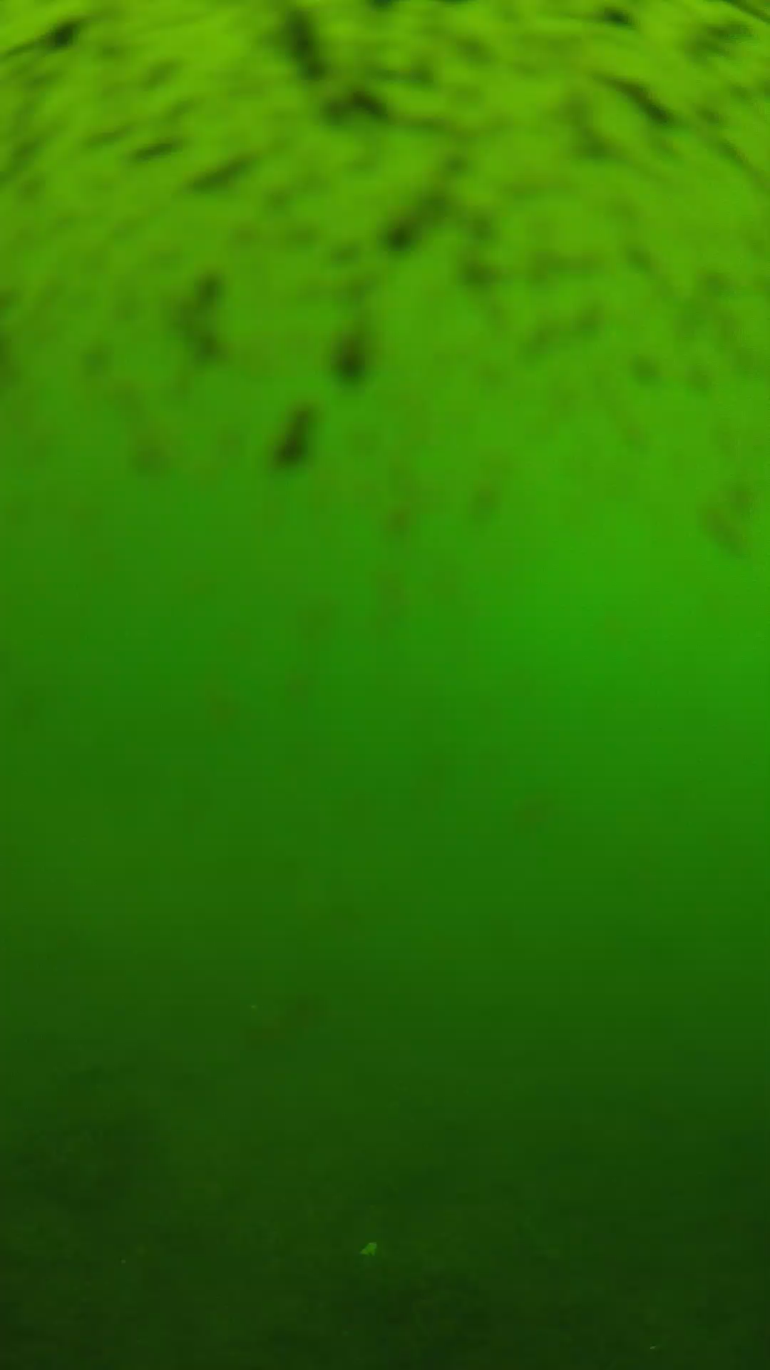 lander_ipcam_20240628120549.png