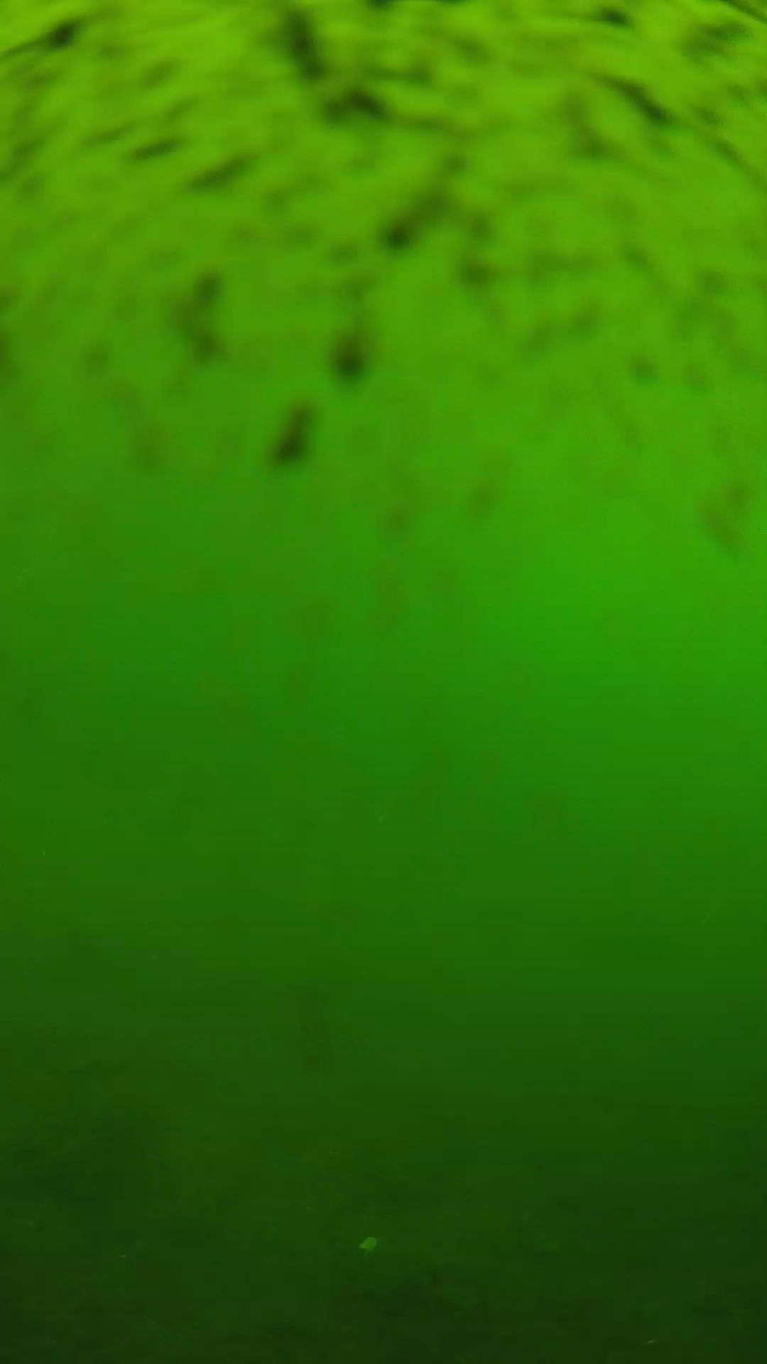 lander_ipcam_20240628120600.png
