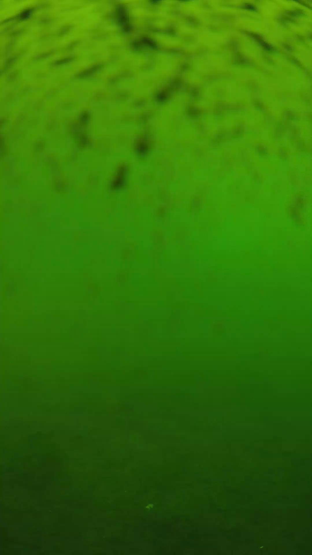 lander_ipcam_20240628123539.png